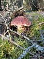 Click image for larger version

Name:	IMG_20200728_072801.jpg
Views:	17
Size:	124.0 Кб
ID:	178218