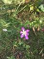 Click image for larger version

Name:	IMG_8192.jpg
Views:	20
Size:	153.3 Кб
ID:	179694