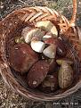 Click image for larger version

Name:	IMG_20201008_132917.jpg
Views:	16
Size:	107.3 Кб
ID:	179711