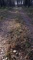 Click image for larger version

Name:	20201029_130553.jpg
Views:	24
Size:	116.7 Кб
ID:	179747