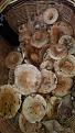 Click image for larger version

Name:	20201109_153008.jpg
Views:	37
Size:	78.4 Кб
ID:	179777