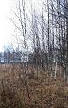 Click image for larger version

Name:	20201115_215341.jpg
Views:	7
Size:	132.8 Кб
ID:	179798