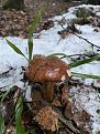 Click image for larger version

Name:	IMG_4810.jpg
Views:	18
Size:	88.1 Кб
ID:	179834