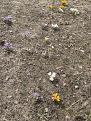 Click image for larger version

Name:	IMG_7234.jpg
Views:	19
Size:	202.8 Кб
ID:	179843