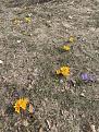 Click image for larger version

Name:	IMG_7236.jpg
Views:	17
Size:	190.5 Кб
ID:	179844