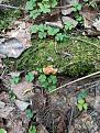 Click image for larger version

Name:	IMG_20210430_141915.jpg
Views:	15
Size:	126.5 Кб
ID:	179859