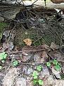 Click image for larger version

Name:	IMG_20210430_141908.jpg
Views:	13
Size:	137.2 Кб
ID:	179860