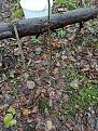Click image for larger version

Name:	IMG_20210430_142051.jpg
Views:	14
Size:	162.1 Кб
ID:	179861