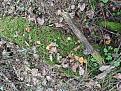 Click image for larger version

Name:	IMG_20210506_160653.jpg
Views:	20
Size:	240.5 Кб
ID:	179875
