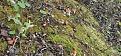Click image for larger version

Name:	IMG_20210812_100652.jpg
Views:	14
Size:	170.5 Кб
ID:	180005