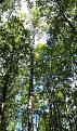 Click image for larger version

Name:	20210815_160050.jpg
Views:	16
Size:	159.3 Кб
ID:	180013
