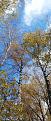 Click image for larger version

Name:	20211009_223716.jpg
Views:	33
Size:	94.1 Кб
ID:	180248
