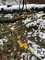 Click image for larger version

Name:	IMG_0795.jpg
Views:	21
Size:	158.7 Кб
ID:	180347