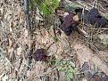 Click image for larger version

Name:	IMG_20220419_135316.jpg
Views:	38
Size:	175.0 Кб
ID:	180350