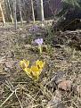 Click image for larger version

Name:	IMG_2402.jpg
Views:	20
Size:	126.9 Кб
ID:	180353