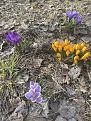 Click image for larger version

Name:	IMG_2403.jpg
Views:	20
Size:	159.3 Кб
ID:	180354