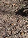 Click image for larger version

Name:	IMG_2469.jpg
Views:	21
Size:	200.2 Кб
ID:	180362