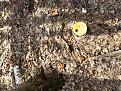 Click image for larger version

Name:	IMG_20220423_153726.jpg
Views:	19
Size:	251.6 Кб
ID:	180367