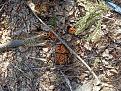 Click image for larger version

Name:	IMG_20220423_153955.jpg
Views:	16
Size:	253.5 Кб
ID:	180368