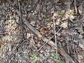 Click image for larger version

Name:	IMG_20220423_154001.jpg
Views:	14
Size:	251.3 Кб
ID:	180369