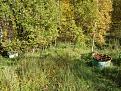 Click image for larger version

Name:	DSC02577.JPG
Views:	15
Size:	141.7 Кб
ID:	180664