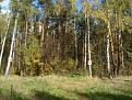 Click image for larger version

Name:	DSC02580.JPG
Views:	11
Size:	140.8 Кб
ID:	180666