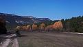 Click image for larger version

Name:	20201105_142009.jpg
Views:	28
Size:	68.2 Кб
ID:	180689